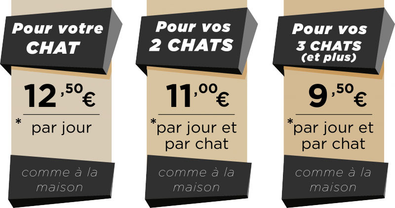 Faq Le Jardin Des Chats Hotel Pour Chat Montpellier Nimes Et Marseille